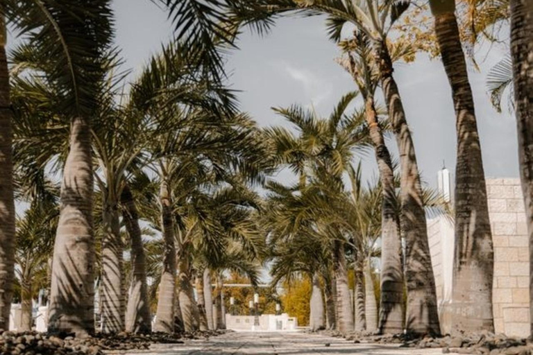 Key West : Best Street Food Tour With A Local Guide Key West : 3 Hours Private Food Tasting Walking Tour