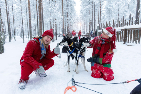 Rovaniemi: Meet Santa's Most Trusted Husky Dogs