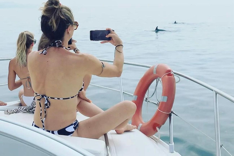 Benalmádena: Sailing & Dolphin Watching with Snacks/Drinks 2-hour PRIVATE up to 12 people