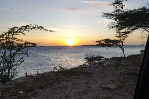 Aruba: Full Day Island Tour with Local Guide