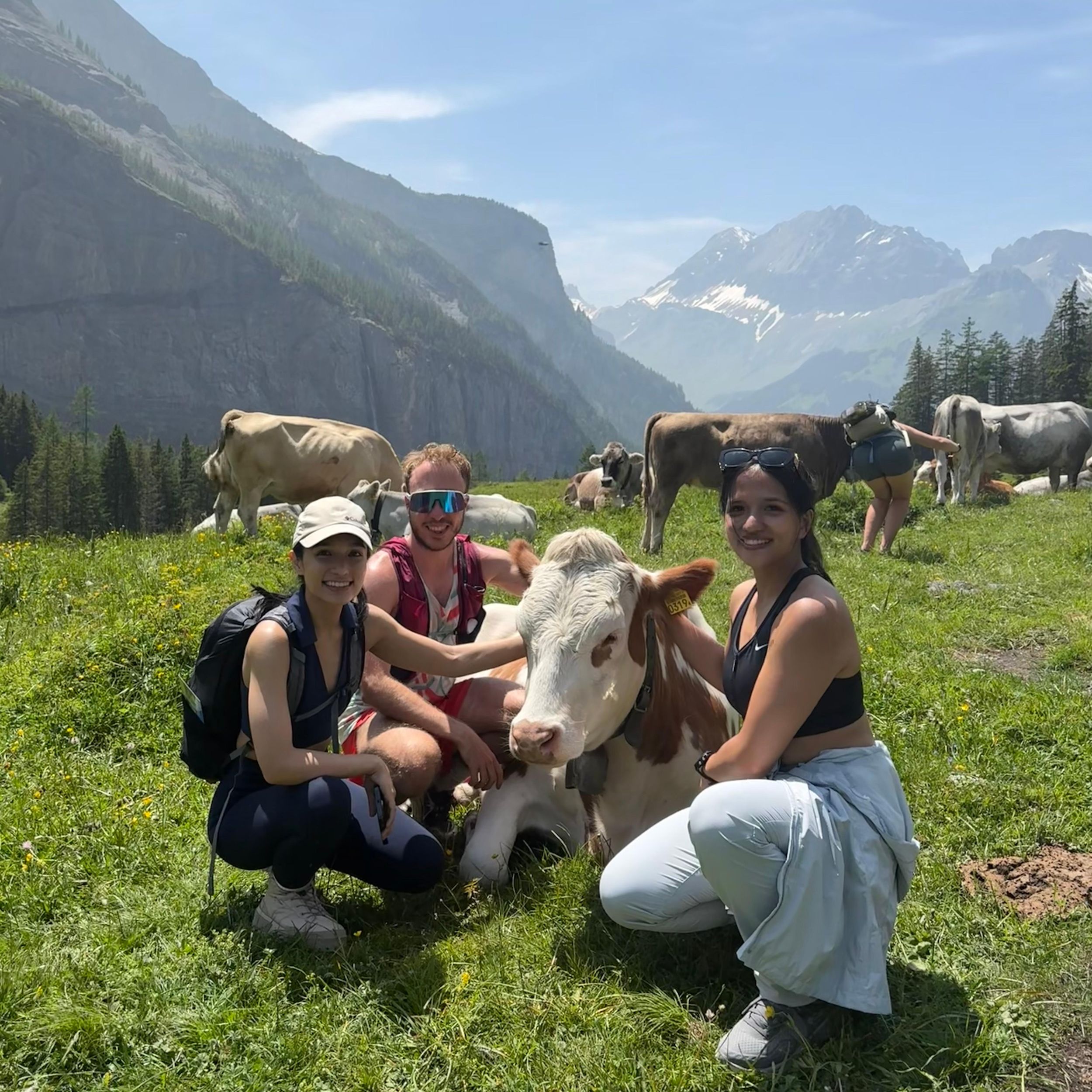 Kandersteg: Geführte Wanderung mit einem Schweizer Triathleten