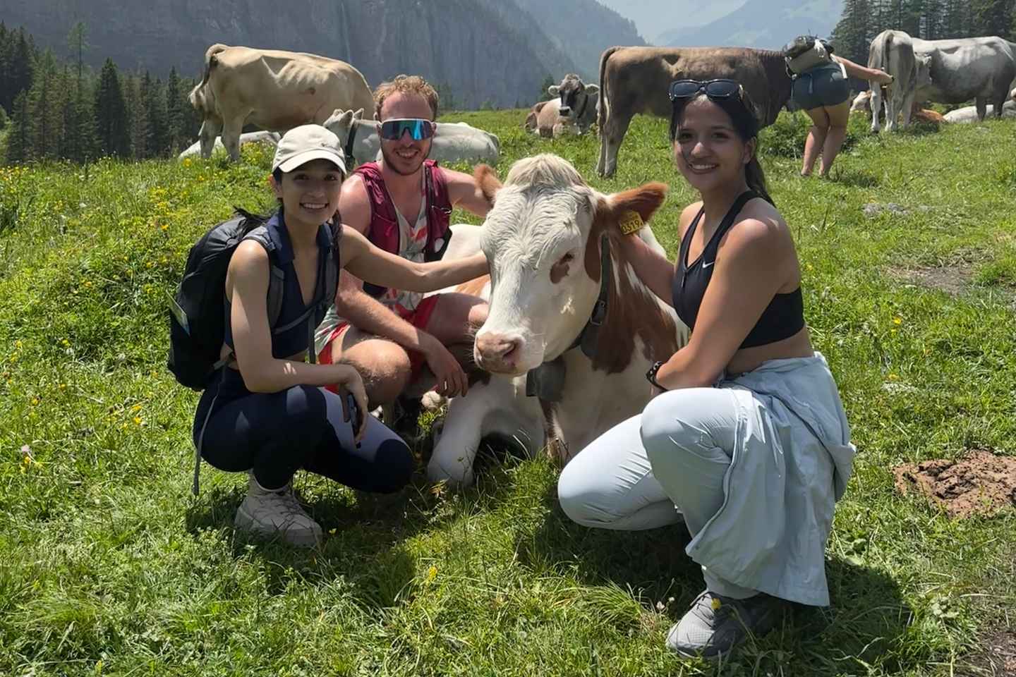 Kandersteg: Caminata Guiada con un Triatleta Suizo