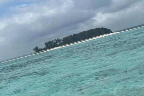 Zanzibar: tour delle piantagioni di spezie, Prison Island con giro in barcaTour privato con servizio di prelievo e rientro in hotel incluso