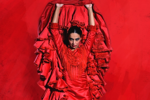 Malaga: Bilet na pokaz flamenco na żywoMalaga: Bilet na pokaz flamenco w Theatro Club Málaga