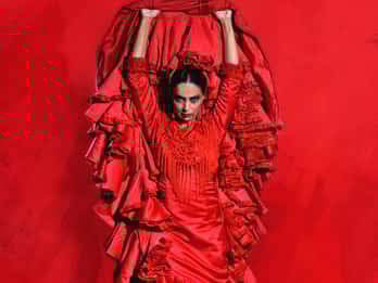 Malaga: Teatro Flamenco Malaga Live Flamenco Show
