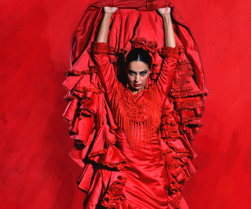 Malaga: Teatro Flamenco Malaga Live Flamenco Show