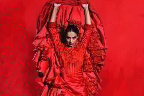 Seville live flamenco dancing show at traditional theater