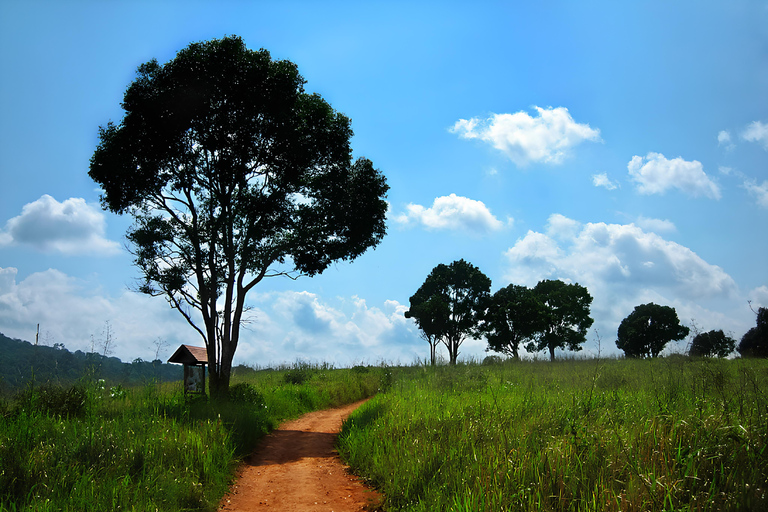 Khao Yai National Park Jungle Trekking Day Trip From Bangkok Khao Yai National Park Small-Group Tour