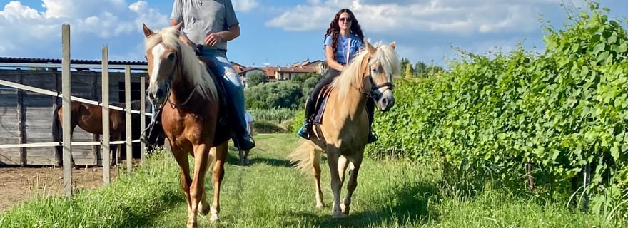 Lazise : balade à cheval et dégustation de vins avec vue panoramique