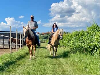 Lazise: paseo a caballo y cata de vinos con vistas panorámicas