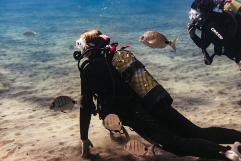 Museo Atlantico for non certified divers