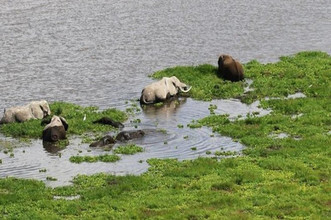 Nairobi: Safari di 6 giorni ai laghi della RiftValley e al Masai Mara con ...