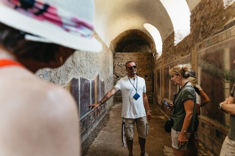 Ab Neapel: Ruinen von Pompeji & Vesuv TagestourTour auf Spanisch - Live Guide Abholung vom Kreuzfahrthafen