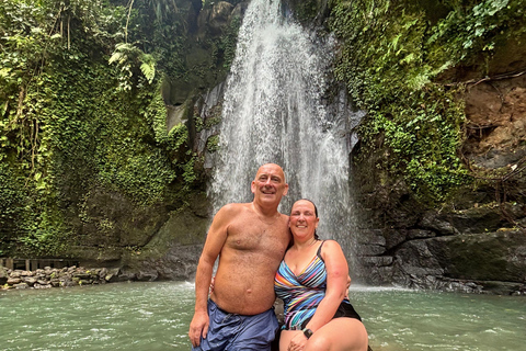 Ubud: Private Half-Day Tour Rice Terrace, Temple & Waterfall Private Ubud Half-Day Tour (Without Entrance Ticket)