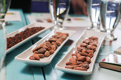 Bogotá: Chocolate de la Paz Tasting Experience