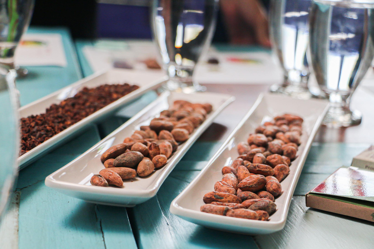 Bogotá: Chocolate de la Paz Tasting Experience