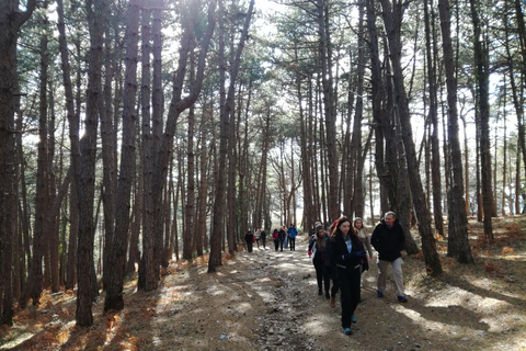 Wycieczka prywatna Vrmac Hiking