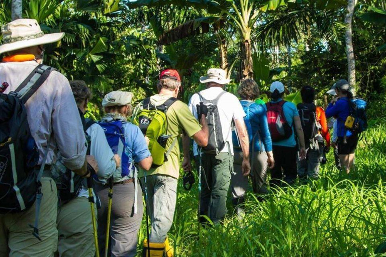 From Puerto Maldonado || Jungle trekking + Sandoval Lake ||