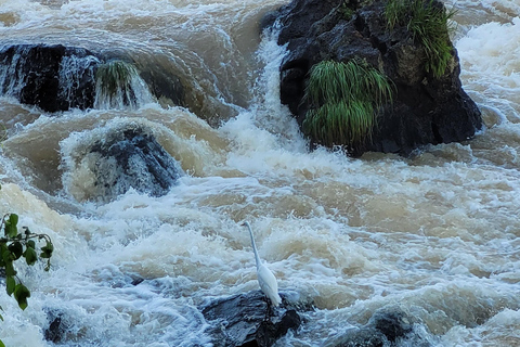 Iguassu Falls: Brazilian Side Private Tour