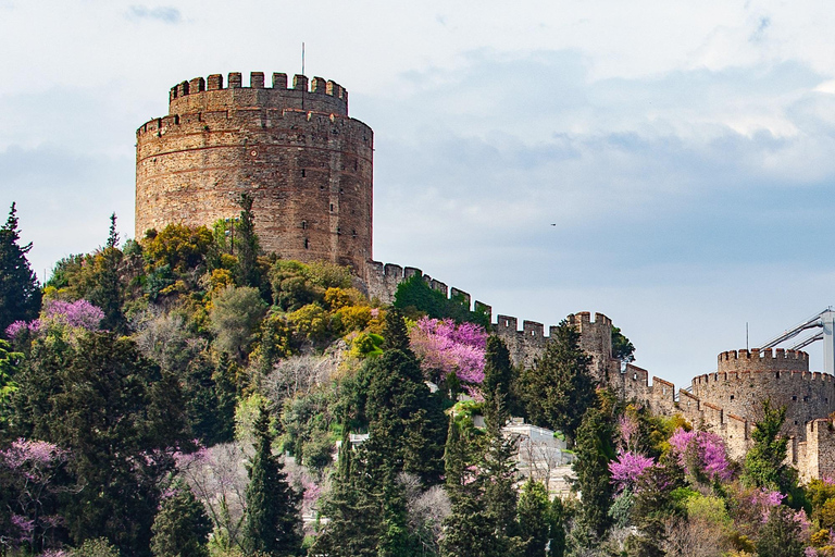 Istanbul: Bosphorus Lunch Cruise with Guide & Drinks