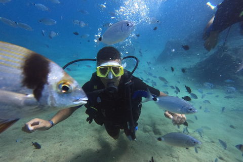 Alanya: Full-Day Scuba Diving Tour with Lunch /2 Dives