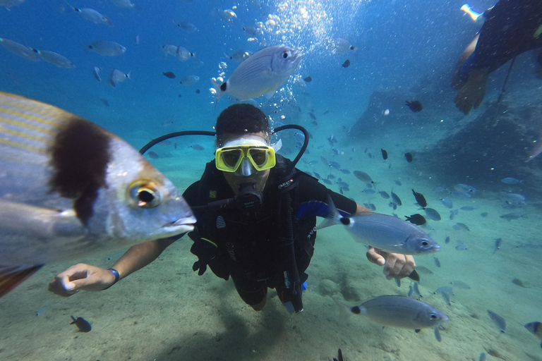 Alanya: Full-Day Scuba Diving Tour with Lunch /2 Dives