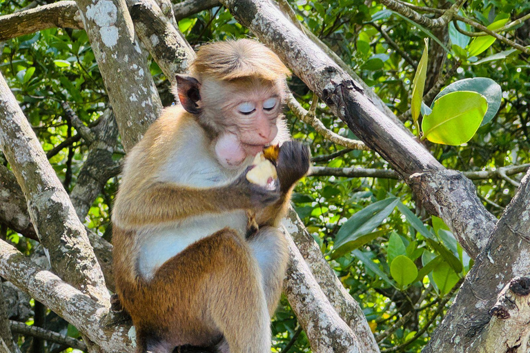 Koggala Lake Private Boat Tour with Dinesh