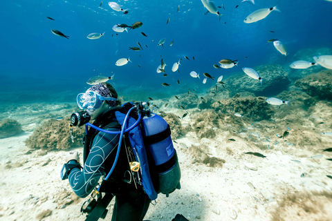 Malta: Try-Dive and World War II Shipwreck Dive