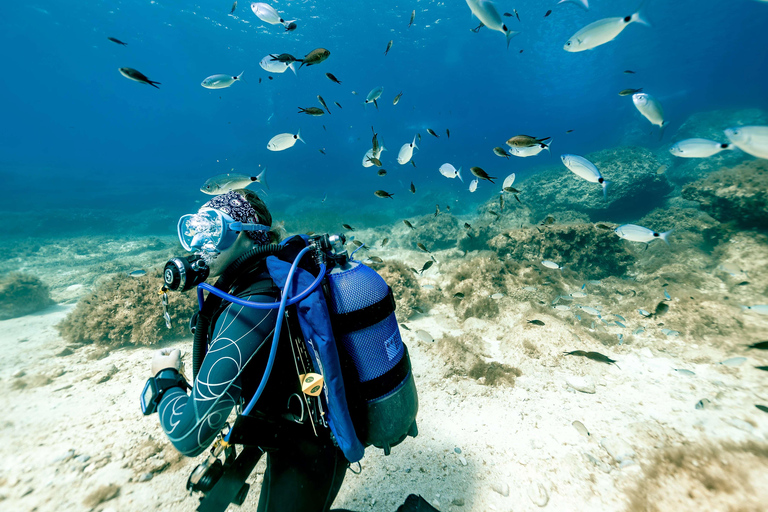 Malta: Try-Dive and World War II Shipwreck Dive
