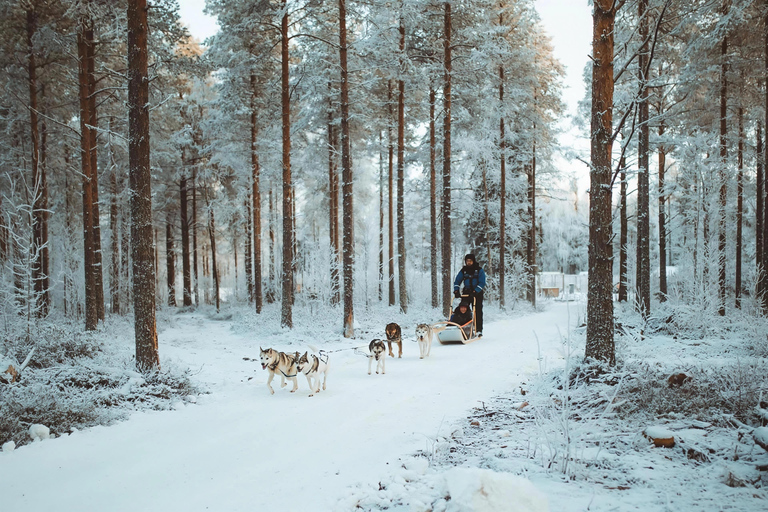 Rovaniemi: Santa Village,2km Husky Sled Ride & Snowman World Rovaniemi: Santa Village, Snowman World & Husky Sledge Ride