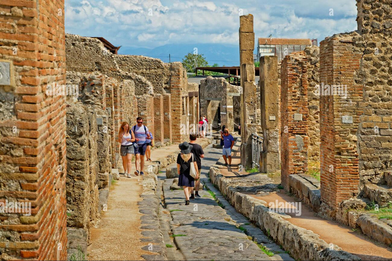 From Naples: Pompeii and Vesuvius Day Tour