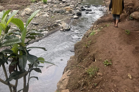 Materuni Waterfalls and Coffee Day Tour