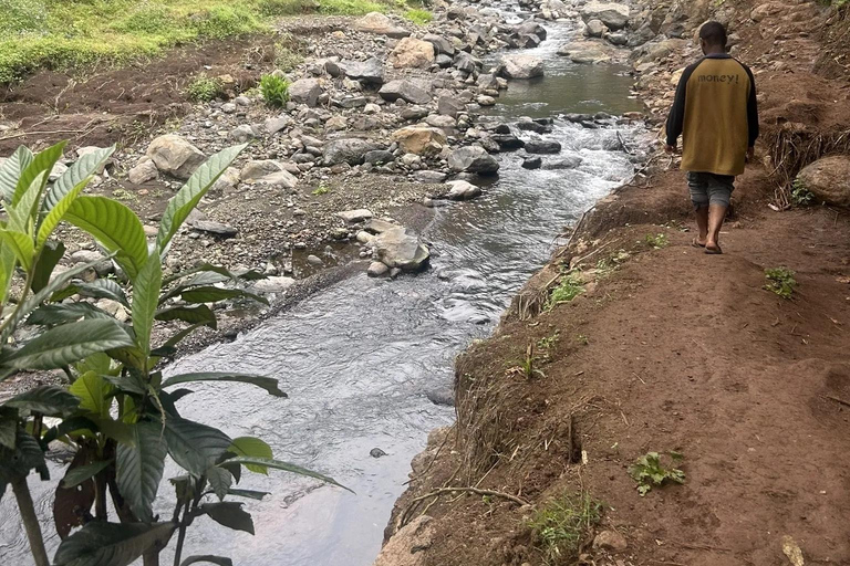 Materuni Waterfalls and Coffee Day Tour