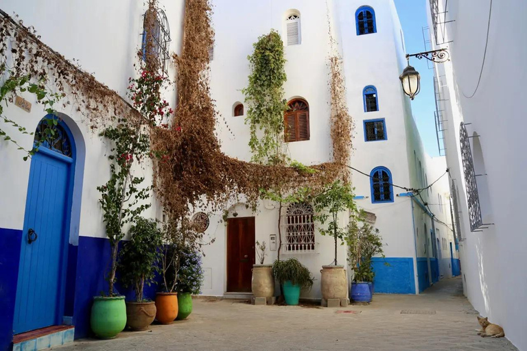 From Tangier: Asilah Guided Tour with Camel Ride