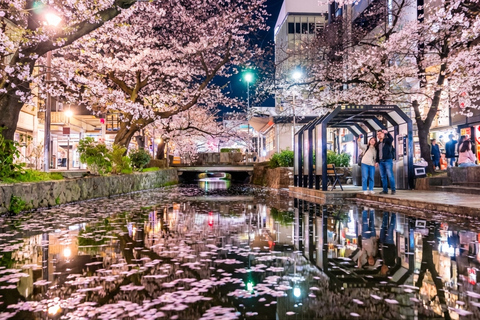 Kyoto Cherry Blossom Night: Izakaya Walk Kyoto Cherry Blossom Night: Izakaya Walk