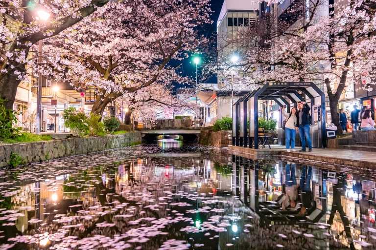 Kyoto Cherry Blossom Night: Izakaya Walk Kyoto Cherry Blossom Night: Izakaya Walk