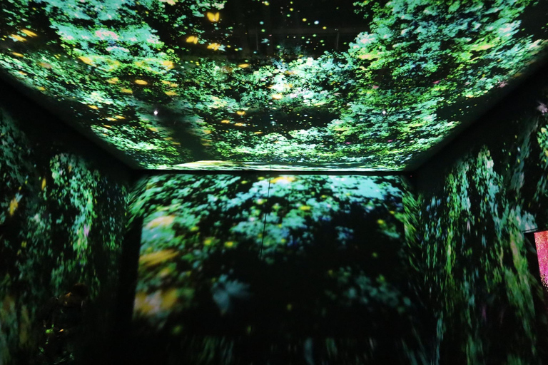 Pattaya: PADO Media Art Interactive Exhibit Entry Ticket