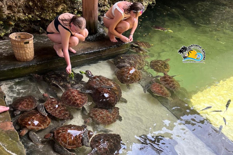 Nungwi: Swimming with Turtles at The Lagoons Zanzibar Hotel Transfers within Nungwi and Kendwa