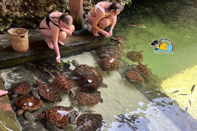 Nungwi: Swimming with Turtles at The Lagoons Zanzibar Hotel Transfers within Nungwi and Kendwa