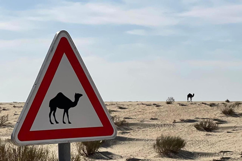 Sunset & Star Wars tour at the Ksar Ghilane oasis in a 4x4 Sunset & Star Wars tour to the oasis of Ksar Ghilane in a 4x4