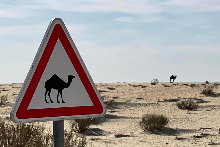 Sunset & Star Wars tour at the Ksar Ghilane oasis in a 4x4 Sunset & Star Wars tour to the oasis of Ksar Ghilane in a 4x4