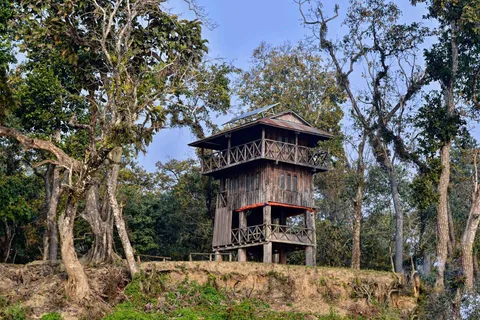 Parco Nazionale di Chitwan: Soggiorno di una notte con guida naturalistica
