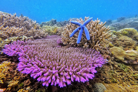 Wycieczka z Lombok na Gili Asahana: idealny dzień w raju