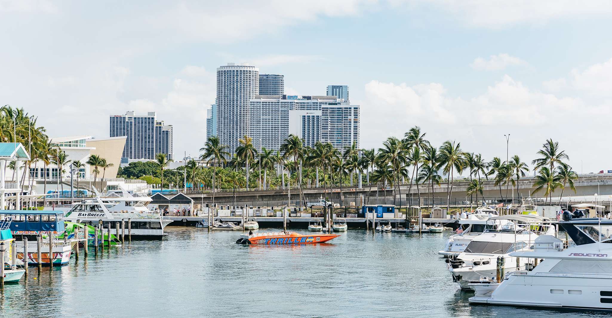 Miami: Sightseeing Speedboat Tour photo 12