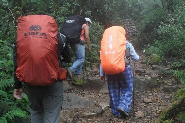 Mount Gede: 2-Day Hiking and Camping Adventure from Jakarta Thrilling Adventure with Mount Gede Hike and Camp 2D1N Tour!