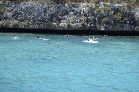 Punta Cana: Avventura di snorkeling e immersioni sull&#039;isola di CatalinaTour compartidos en Español