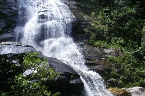 Tijuca Forest Tour