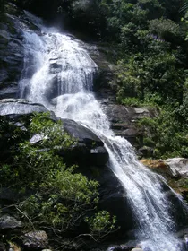 Tijuca Wald Tour