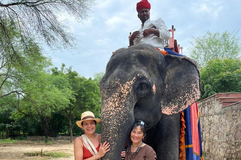 Jaipur : Full day Jaipur City Tour and Drop Delhi Include : Car + Guide + Entrances