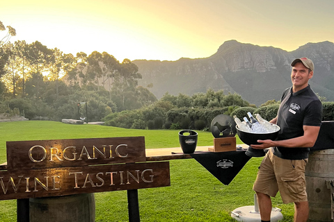 Le Cap : dégustation de vins au domaine Silvermist et spectacle DrumstruckLe Cap : Dégustation de vins au domaine Silvermist et spectacle Drumstruck